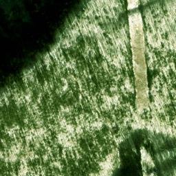 Satellite imagery of Morton Bluff, US