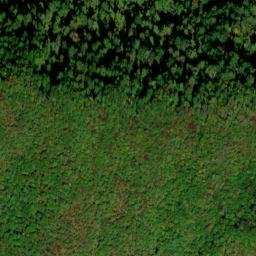 Satellite imagery of Allnight Ridge, US