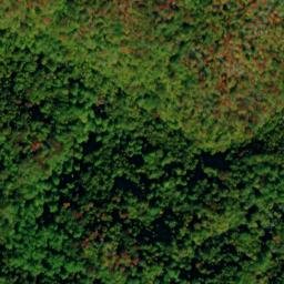 Satellite imagery of Log Ridge, US