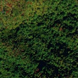 Satellite imagery of Log Ridge, US