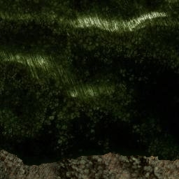 Satellite imagery of Ace Enloe Ridge, US