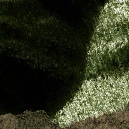 Satellite imagery of Ace Enloe Ridge, US