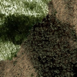 Satellite imagery of Ace Enloe Ridge, US