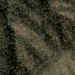 Satellite imagery of Ravens Roost Ridge, US