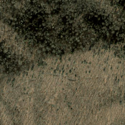 Satellite imagery of Chiltoskie Ridge, US