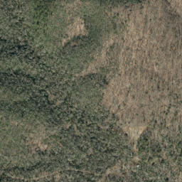 Satellite imagery of Chestnut Ridge, US