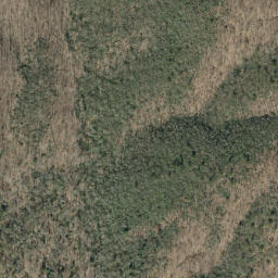 Satellite imagery of Chestnut Ridge, US