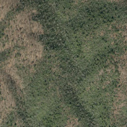 Satellite imagery of Chestnut Ridge, US
