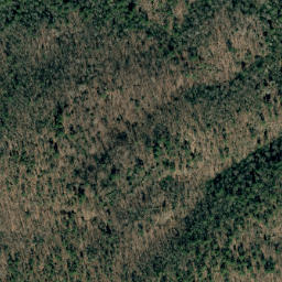 Satellite imagery of Grass Ridge, US
