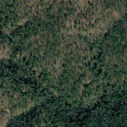 Satellite imagery of Grass Ridge, US