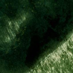Satellite imagery of Morton Bluff, US