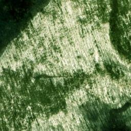 Satellite imagery of Morton Bluff, US