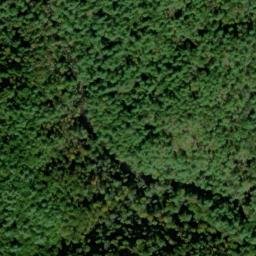 Satellite imagery of Elijah Oliver Place, US