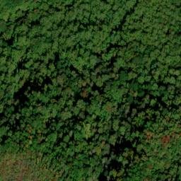 Satellite imagery of Allnight Ridge, US