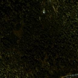 Satellite imagery of Fork Ridge, US