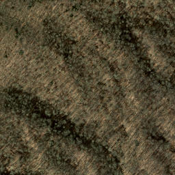 Satellite imagery of Ace Enloe Ridge, US