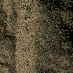 Satellite imagery of Ace Enloe Ridge, US