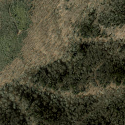 Satellite imagery of Chiltoskie Ridge, US