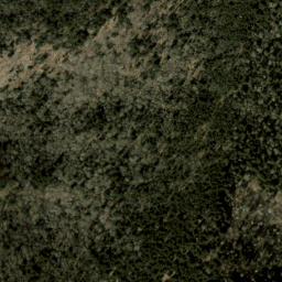 Satellite imagery of Chiltoskie Ridge, US
