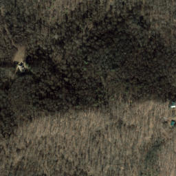 Satellite imagery of Biltmore Estate, US