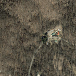 Satellite imagery of Biltmore Estate, US