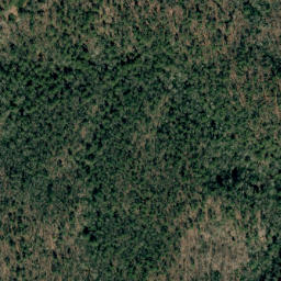 Satellite imagery of Grass Ridge, US