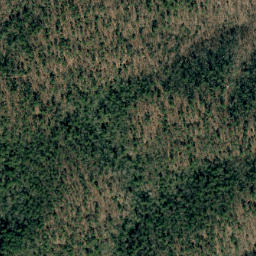 Satellite imagery of Grass Ridge, US