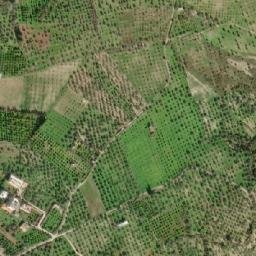 Satellite imagery of Ruwaysat al Buwayb, SY