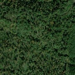 Satellite imagery of Salt Lick Ridge, US
