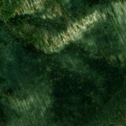 Satellite imagery of Shelley Ridge, US