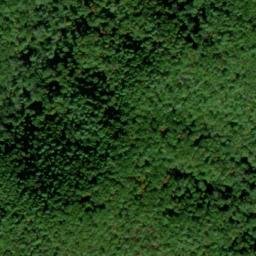 Satellite imagery of Polecat Ridge, US