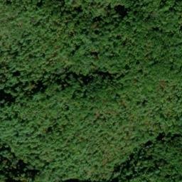 Satellite imagery of Hickory Turn Ridge, US