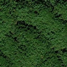 Satellite imagery of Hickory Turn Ridge, US