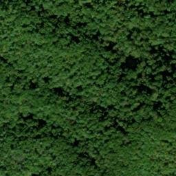 Satellite imagery of Andy McCully Ridge, US