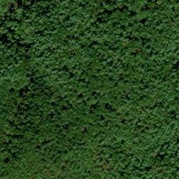 Satellite imagery of Boring Ridge, US