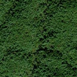 Satellite imagery of Boring Ridge, US