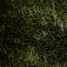 Satellite imagery of Fork Ridge, US