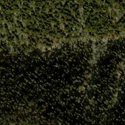 Satellite imagery of Fork Ridge, US