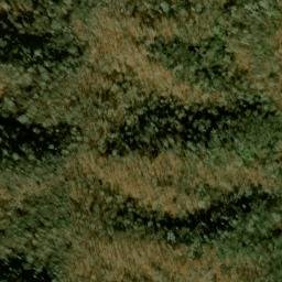 Satellite imagery of Shot Beech Ridge, US