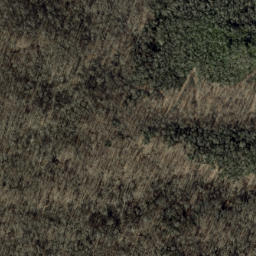 Satellite imagery of Turkey Ridge, US