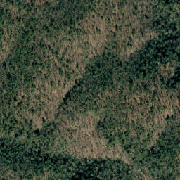 Satellite imagery of Grass Ridge, US
