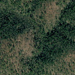 Satellite imagery of Grass Ridge, US