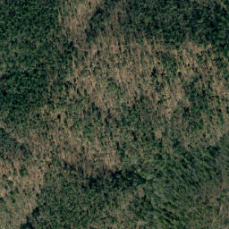 Satellite imagery of Grass Ridge, US