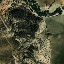 Satellite imagery of Laâraïfia, DZ