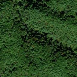 Satellite imagery of Hickory Turn Ridge, US