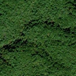 Satellite imagery of Hickory Turn Ridge, US