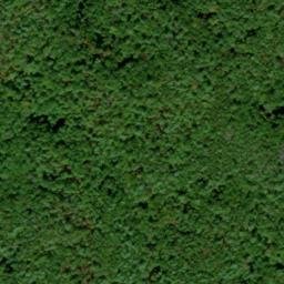 Satellite imagery of Andy McCully Ridge, US