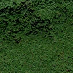 Satellite imagery of Boring Ridge, US