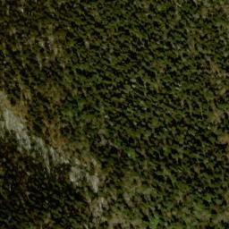 Satellite imagery of Fork Ridge, US
