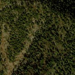 Satellite imagery of Fork Ridge, US